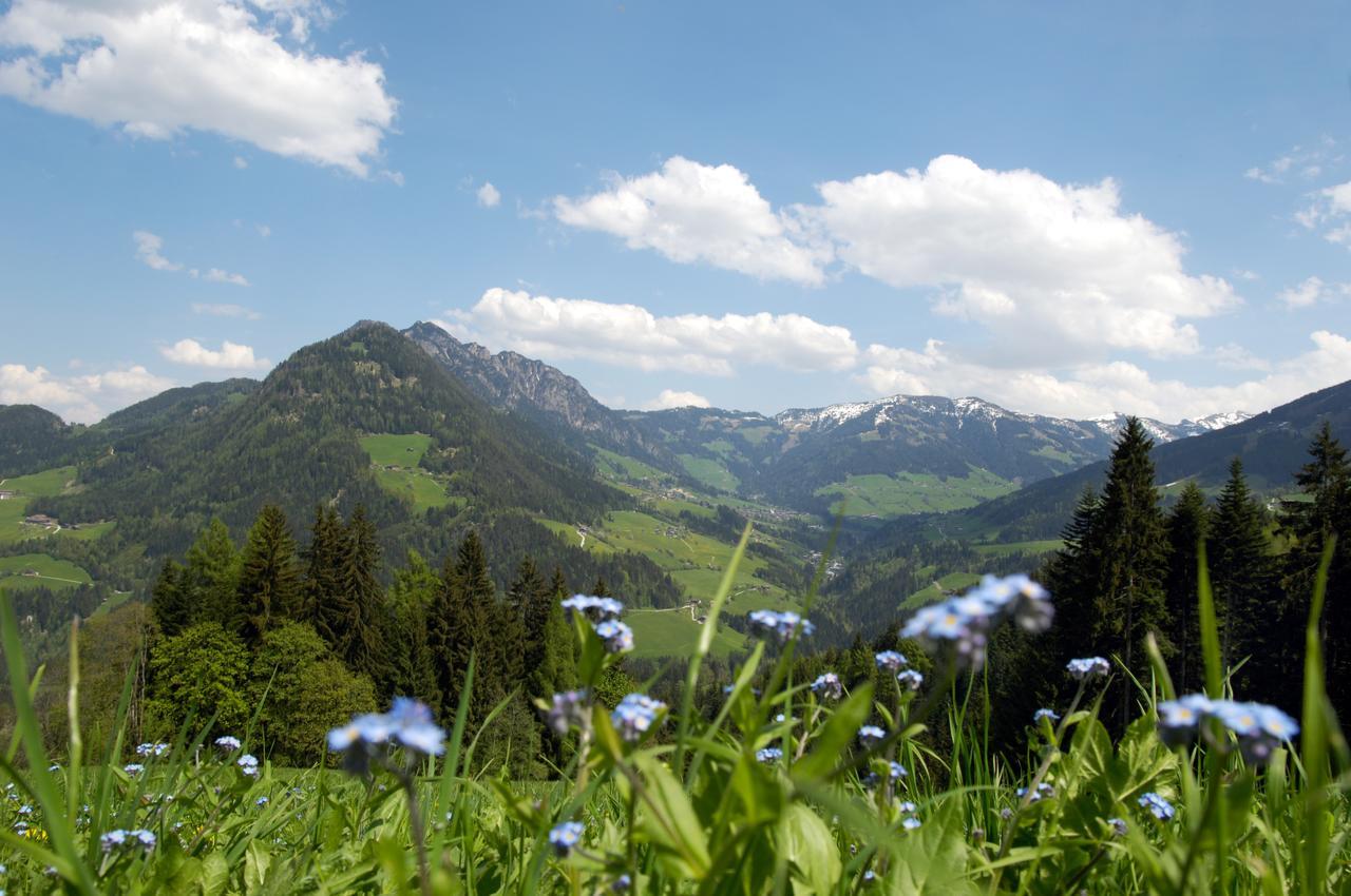 Bergchalet Rauchenhof Reith im Alpbachtal Bagian luar foto